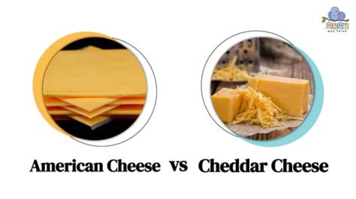 Difference between american and cheddar cheese